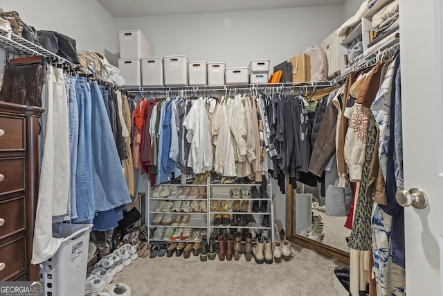 walk in closet featuring carpet flooring