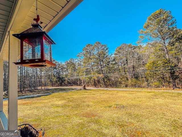 view of yard
