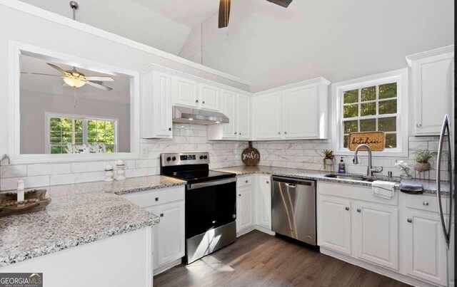 kitchen featuring under cabinet range hood, stainless steel appliances, a ceiling fan, and a sink
