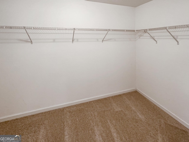 spacious closet with carpet floors