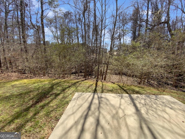 1181 Paramount Dr, Mcdonough, GA 30253 - view of green lawn with a patio