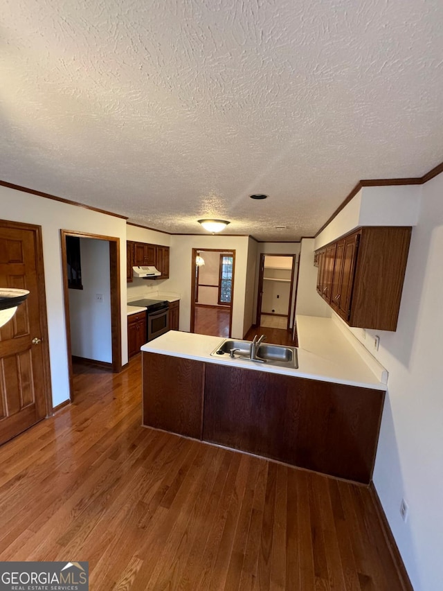 kitchen with crown molding, dark wood-type flooring, stainless steel electric range oven, a peninsula, and a sink