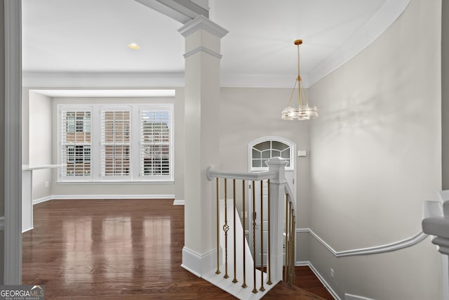 interior space featuring wood finished floors, decorative columns, baseboards, and ornamental molding