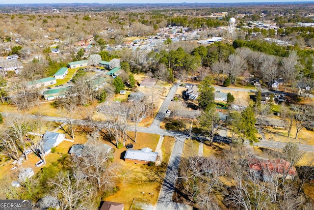 bird's eye view