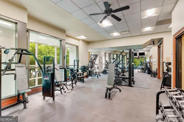 gym with a drop ceiling and ceiling fan