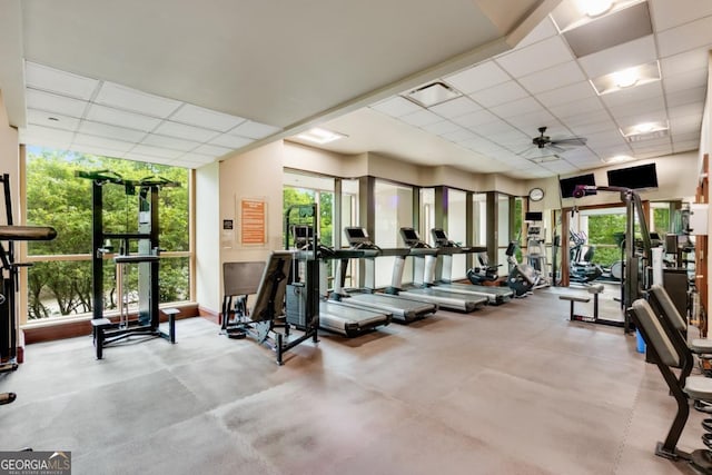 workout area featuring a wealth of natural light, a drop ceiling, and ceiling fan