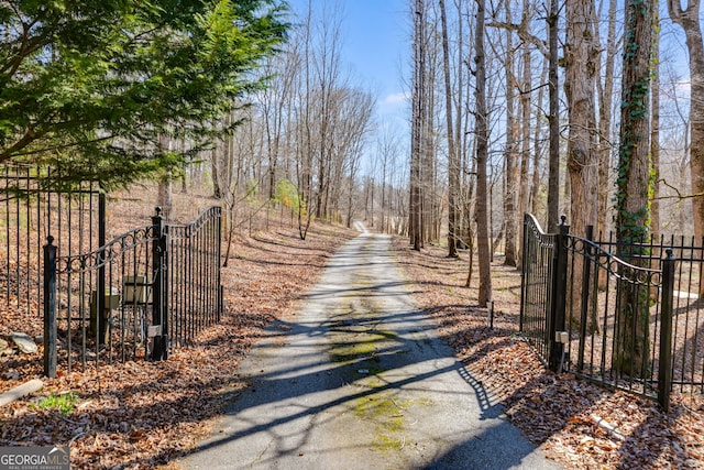 view of road featuring a gated entry, driveway, and a gate