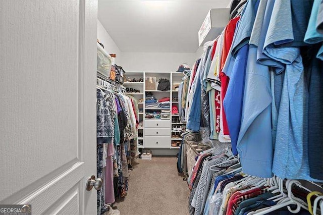 walk in closet featuring carpet flooring