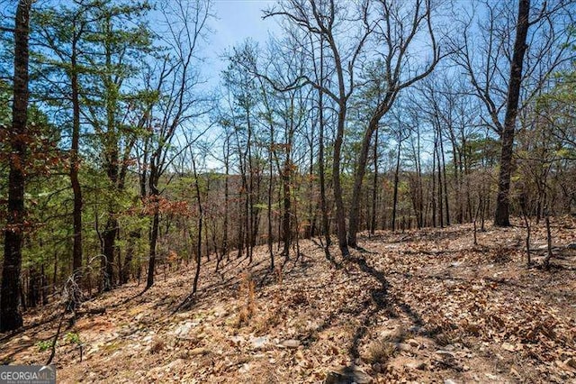 view of landscape with a wooded view