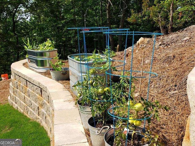 view of yard with a vegetable garden