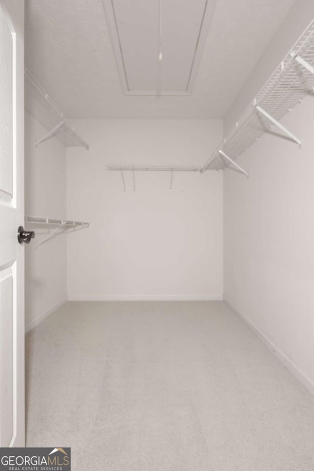 walk in closet featuring carpet flooring