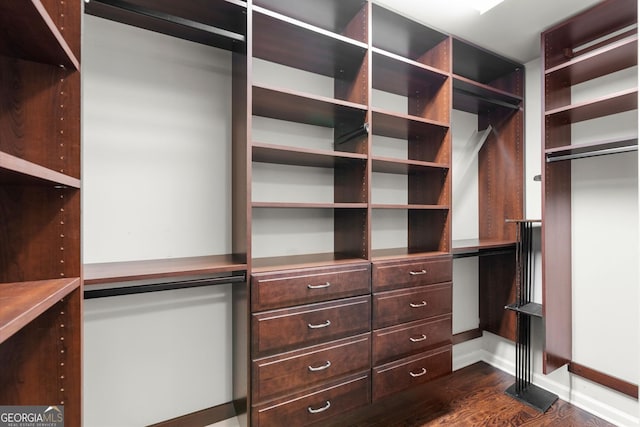 walk in closet with dark wood-style flooring