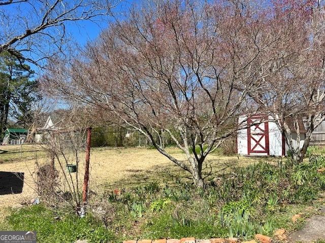 view of yard with an outbuilding and a shed