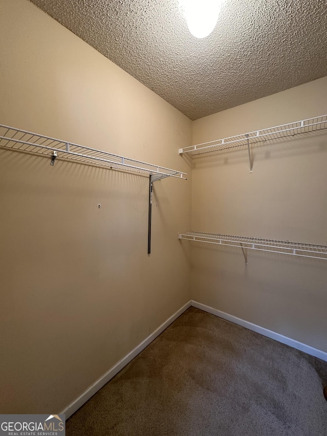 spacious closet featuring carpet flooring