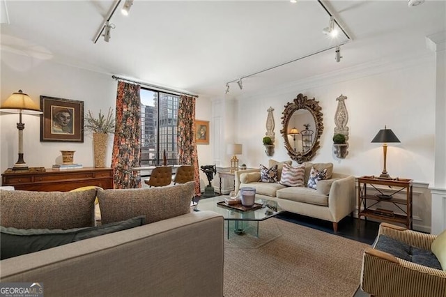 living room featuring track lighting and ornamental molding