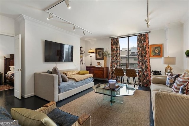 living area featuring track lighting, wood finished floors, and ornamental molding