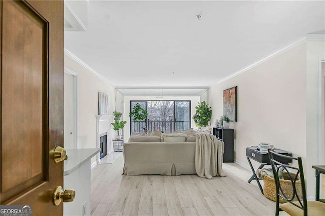 living area featuring baseboards, a fireplace with raised hearth, light wood-style flooring, and ornamental molding