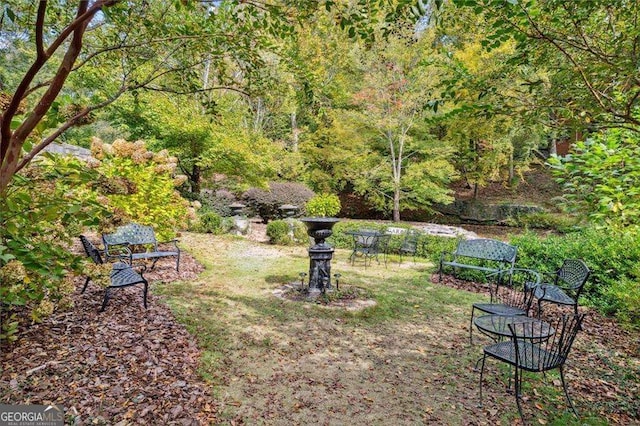 view of yard featuring a forest view