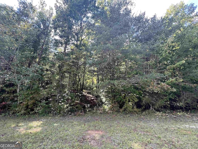 LOT1 N Laceola Rd, Cleveland GA, 30528 land for sale