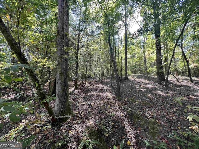 Listing photo 2 for LOT1 N Laceola Rd, Cleveland GA 30528