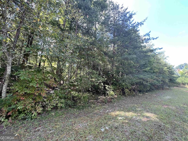 Listing photo 3 for LOT1 N Laceola Rd, Cleveland GA 30528