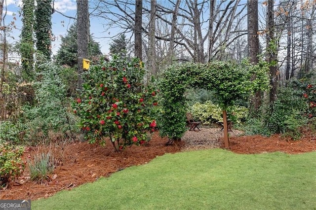 1900 Sanborne Way, Dacula, GA 30019 - view of green lawn