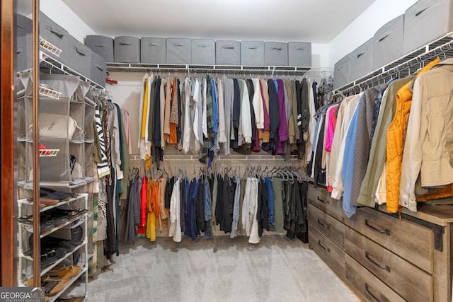 spacious closet featuring carpet flooring