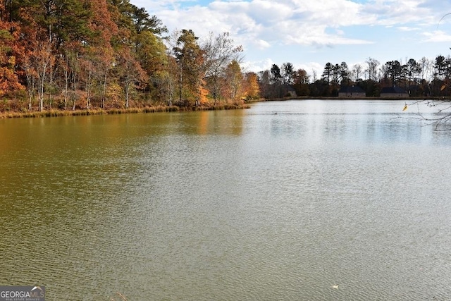 480 Brown Dove Ln, Grayson, GA 30017 - water view