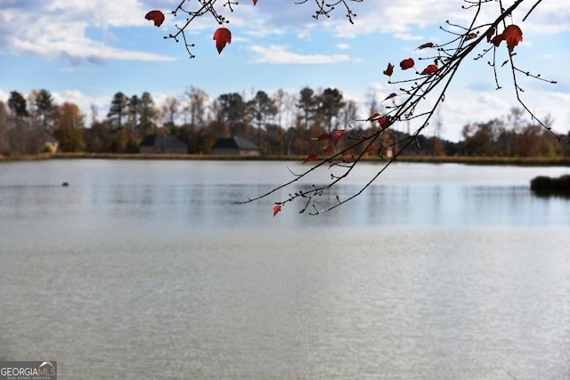 480 Brown Dove Ln, Grayson, GA 30017 - water view