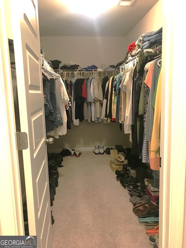 spacious closet with carpet