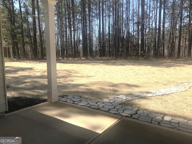 view of yard featuring a patio area