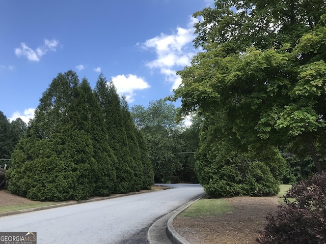 view of road with curbs