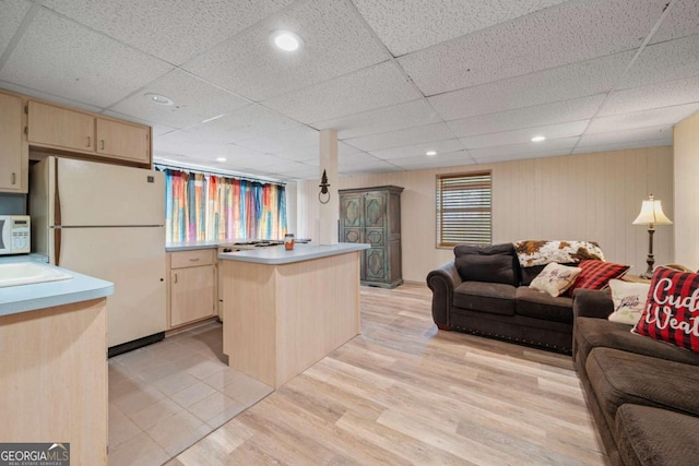 living room featuring a drop ceiling and light wood finished floors