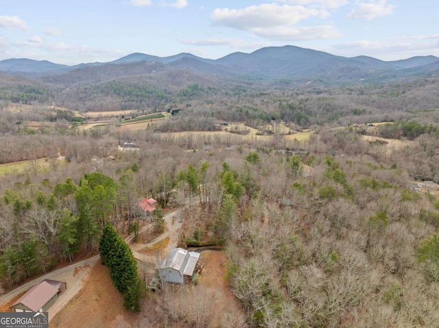 birds eye view of property featuring a mountain view