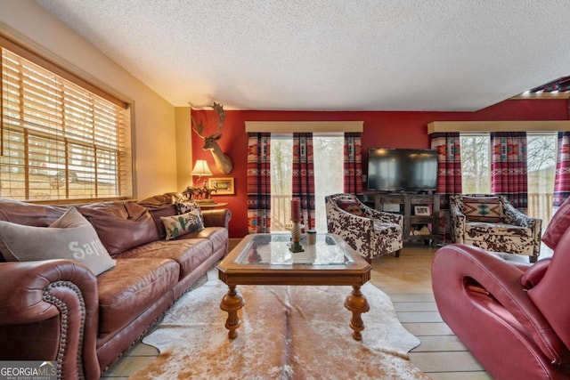 living area with wood finished floors, a healthy amount of sunlight, and a textured ceiling