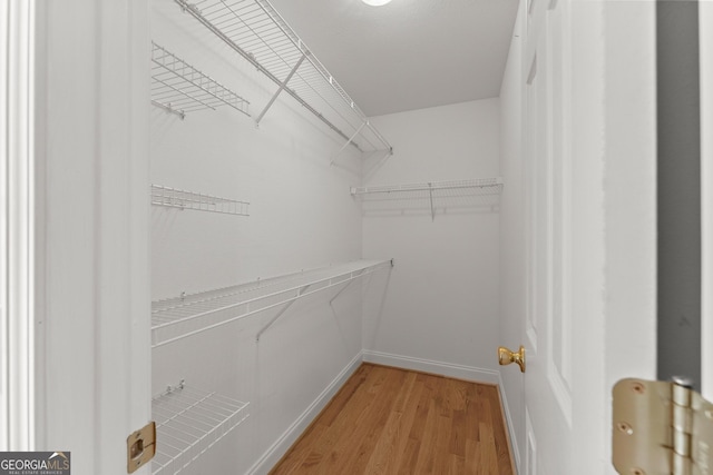 spacious closet featuring light wood-style flooring
