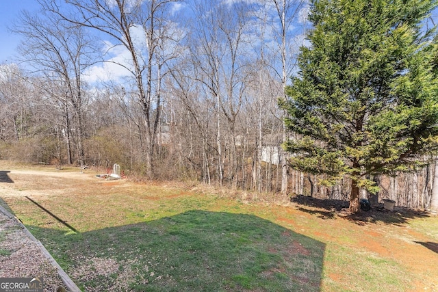 view of yard