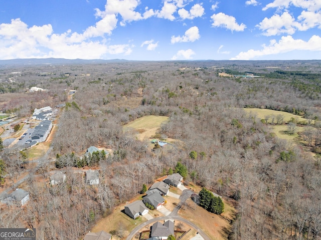 birds eye view of property featuring a view of trees and a mountain view