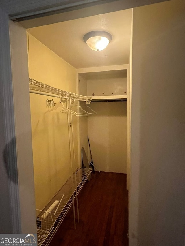 walk in closet featuring dark wood-type flooring