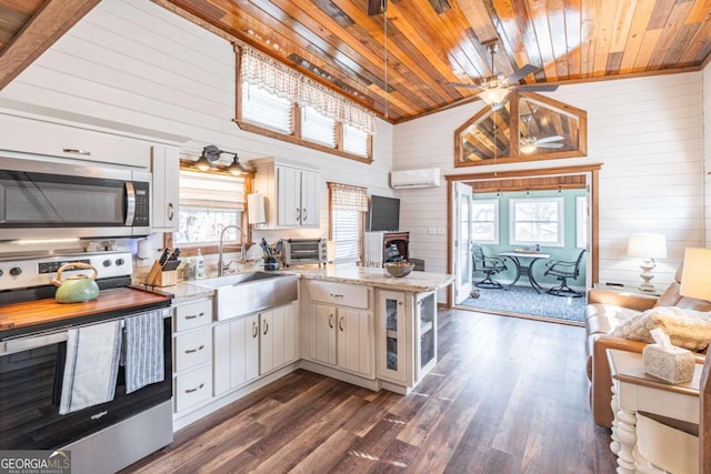 kitchen with a peninsula, wood ceiling, appliances with stainless steel finishes, and a sink