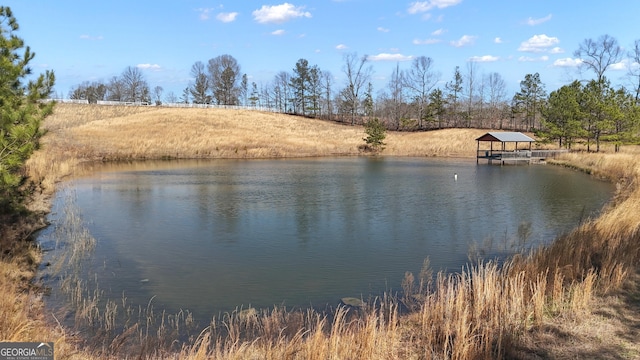 view of water feature with a dock