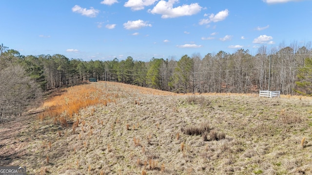 view of landscape with a wooded view