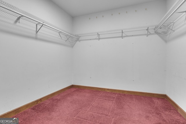 walk in closet with dark colored carpet