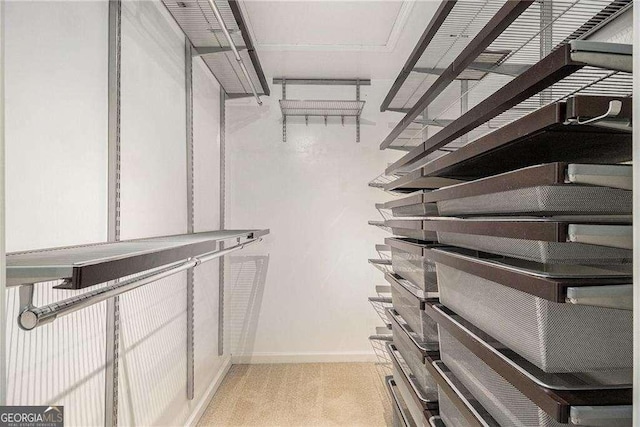 walk in closet with light colored carpet