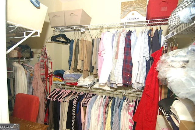 view of walk in closet