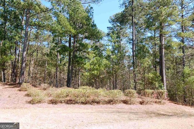 view of nature featuring a forest view