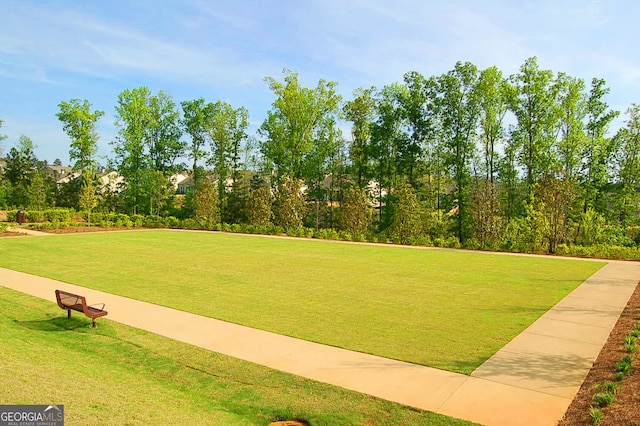 view of property's community with a yard