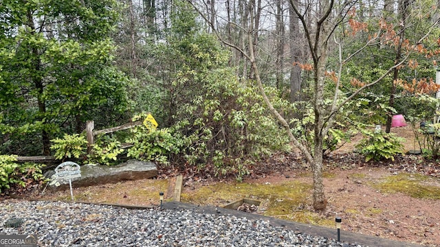 view of yard featuring a view of trees