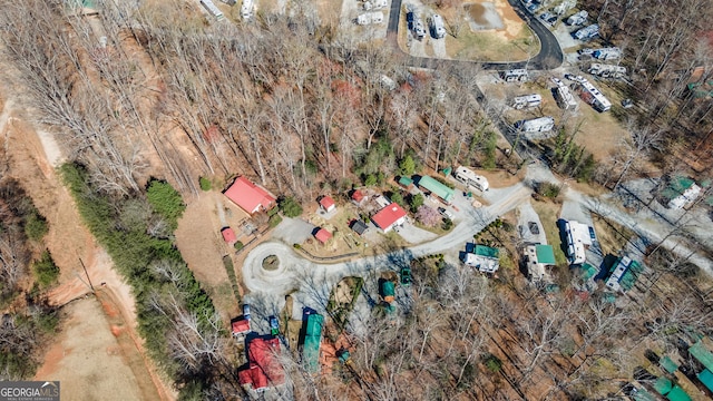 bird's eye view