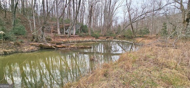 0 Gladston Dr, Mount Airy, GA 30563